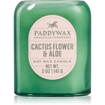 Paddywax Vista Cactus Flower & Aloe vonná sviečka 142 g