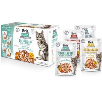 Brit Care Cat Flavour box Sterilized Fillet in Gravy, 12× 85 g (8595602565023)