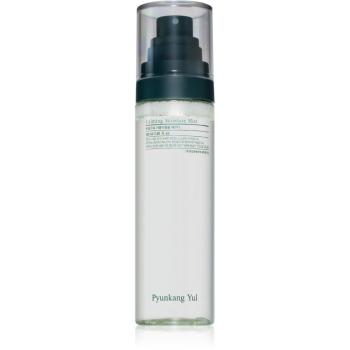 Pyunkang Yul Calming Moisture Mist intenzívna upokojujúca hmla pre citlivú a suchú pleť 100 ml