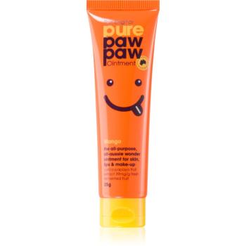 Pure Paw Paw Mango balzam na pery a suché miesta 25 g