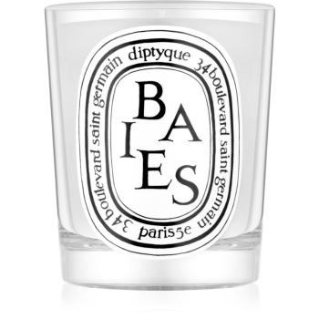 Diptyque Baies vonná sviečka 190 g