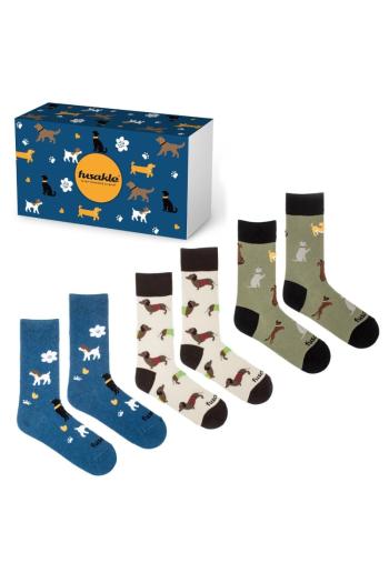 Vzorované ponožky v darčekovej krabičke Psy - trojbalenie