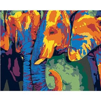 Maľovanie podľa čísel – Farebný sloní pár (HRAmal01015nad)