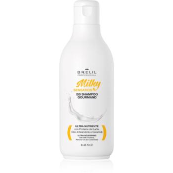 Brelil Numéro BB Milky Shampoo regeneračný šampón pre slabé a poškodené vlasy 250 ml