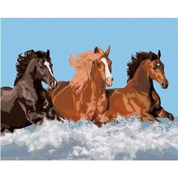 Maľovanie podľa čísel - Tri kone vo vode (HRAbz33490nad)