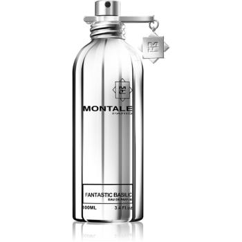 Montale Fantastic Basilic parfumovaná voda unisex 100 ml