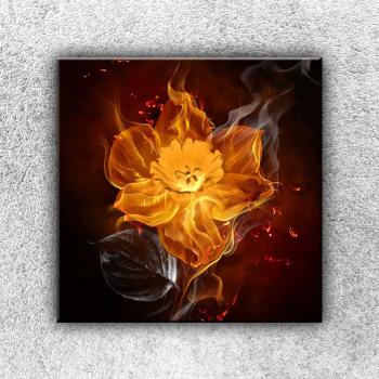 Foto na plátne Kvet v ohni 50x50 cm 