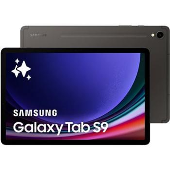 Samsung Galaxy Tab S9 Wifi 12 GB / 256 GB grafitová (SM-X710NZAEEUE) + ZDARMA Služba AlzaPlus+ ročné členstvo ako darček