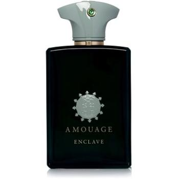 AMOUAGE Enclave EdP 100 ml (701666400028)