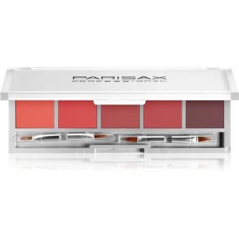 Parisax Professional paleta rúžov odtieň Rouge 5x2 g