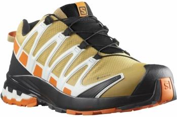 Salomon XA Pro 3D V8 GTX Fall Leaf/Vibrant Orange/White 46