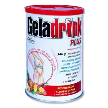 GELADRINK Plus ananás 340 g