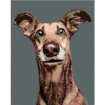 Maľovanie podľa čísel – Pes s nastraženými ušami (HRAmal00927nad)