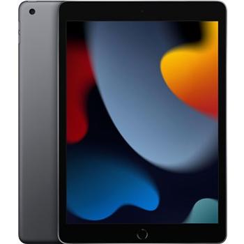 iPad 10.2 256 GB WiFi Vesmírne Sivý 2021 (MK2N3FD/A)