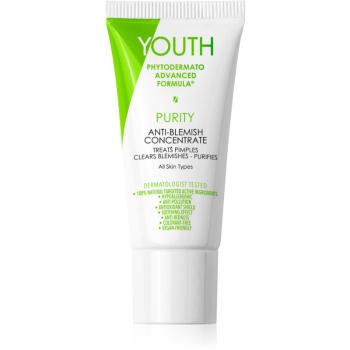 YOUTH Purity Anti-Blemish Concentrate lokálna starostlivosť proti akné 20 ml