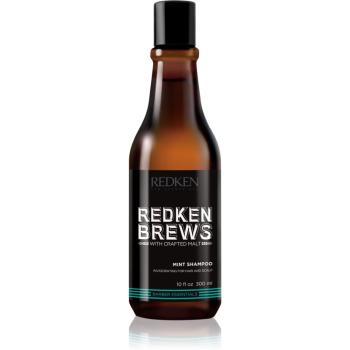 Redken Brews povzbudzujúci mentolový šampón na vlasy a pokožku hlavy 300 ml