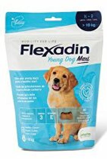 Flexadin 4Life Young Dog Maxi Chewable 60tbl