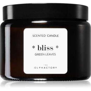 Ambientair The Olphactory Green Leaves vonná sviečka Bliss 360 g