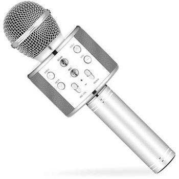 Karaoke mikrofón Eljet Globe Silver (8594176636672)