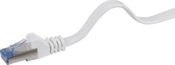 Sieťový kábel RJ45 RENKFORCE CAT6A S / FTP patch 10 m, plochý