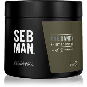 Sebastian Professional SEB MAN The Dandy pomáda na vlasy pre prirodzenú fixáciu 75 ml