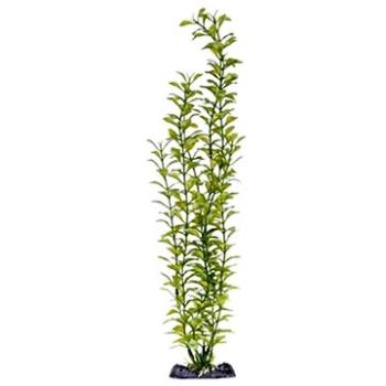 Penn Plax Blooming Ludwigia Green Super 45,5 cm (0030172055607)