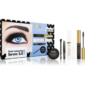 Delia Cosmetics Eyebrow Expert Light Black darčeková sada na obočie