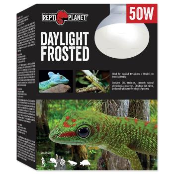 Žárovka REPTI PLANET Daylight Frosted 50 W