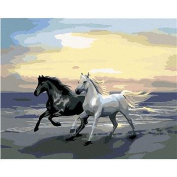 Maľovanie podľa čísel – Kone na pláži (HRAmal00727nad)
