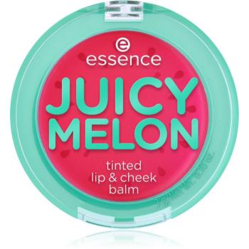 essence JUICY MELON balzam na pery a líca 3 g