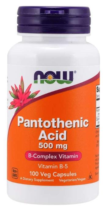Kyselina Pantoténová 500 mg - NOW Foods, 100cps