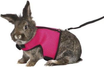 Trixie Soft harness with leash, large rabbits, 25–40 cm, 1.20 m