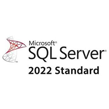 Microsoft SQL Server 2022 – 1 User CAL Charity (DG7GMGF0FKZWNON1)