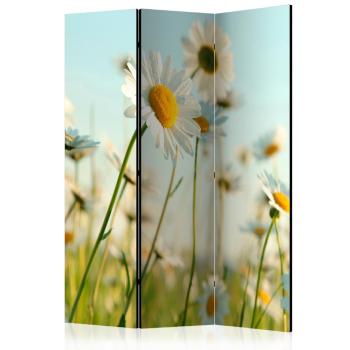 Paraván Daisies - spring meadow Dekorhome 135x172 cm (3-dielny)