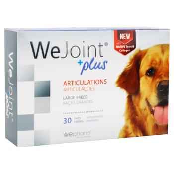 WEPHARM WeJoint Plus large breeds pre psov 30 tabliet