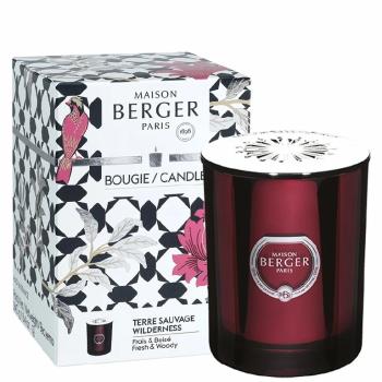 Maison Berger Paris Vonná sviečka Prisme Divočina granátová 240 g