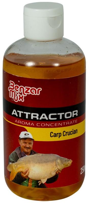 Benzár mix attractor tekutá aróma 250 ml - kapor- karas