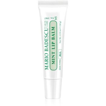 Mario Badescu Mint Lip Balm ultra výživný balzam na pery 10 g