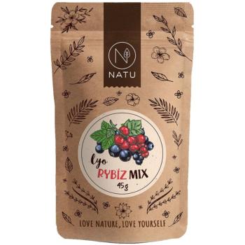 NATU Lyo mix ríbezlí mrazom sušené ovocie 45 g