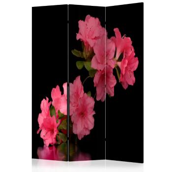 Paraván Azalea in Black Dekorhome 135x172 cm (3-dielny)