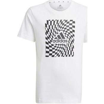 adidas  Tričká s krátkym rukávom Graphic Tshirt 1  Biela