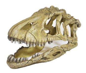 Happet dekorácia do akvária lebka dinosaura 17cm