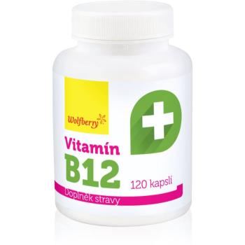 Wolfberry Vitamín B12 BIO kapsuly na podporu zníženia miery únavy a vyčerpania 120 cps