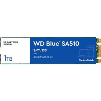 WD Blue SA510 SATA 1 TB M.2 (WDS100T3B0B)