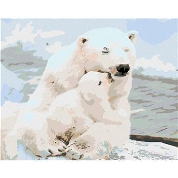 Maľovanie podľa čísel – Ľadové medvedíky (HRAmal00749nad)
