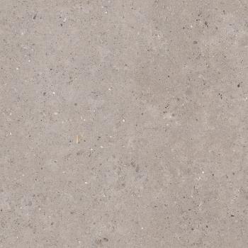 Dlažba Pastorelli Biophilic grey 120x120 cm mat P009411