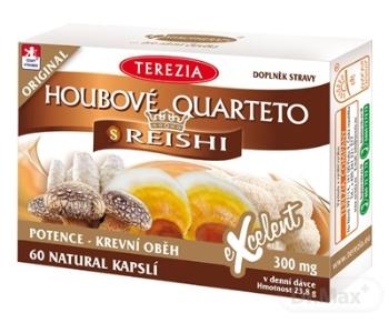 TEREZIA HUBOVÉ QUARTETO s REISHI 60