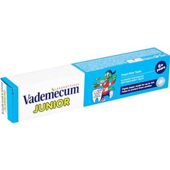 VADEMECUM Junior Fresh Mint Flavor 75 ml (9000100993609)