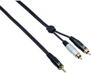 Bespeco EAYMSR500 5 m Audio kábel