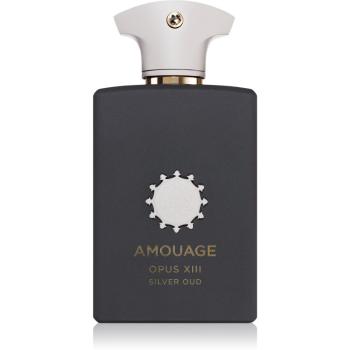 Amouage Opus XIII: Silver Oud parfumovaná voda unisex 100 ml